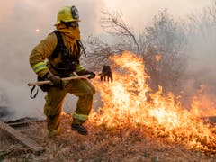 In Kalifornien kämpfen Einsatzkräfte seit Tagen gegen Waldbrände. (Bild: KEYSTONE/AP/ETHAN SWOPE)