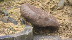 (Bild: BRK News)
