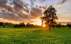 Sonnenuntergang bei Ufhofen-Gebertschwil. (Bild: Luciano Pau)