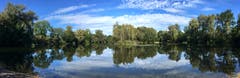 Herbststimmung am alten Rhein bei Diepoldsau. (Bild: Toni Sieber)