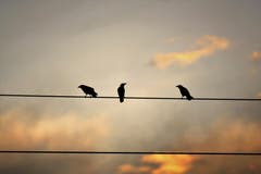 Teamsitzung bei Sonnenuntergang. (Bild: Toni Sieber)