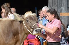 Die besten Kühe wurden im Ring vorgeführt.