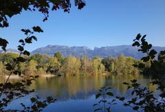 Schöner Herbst am alten Rhein. (Bild: Beata Maria Zdyb)