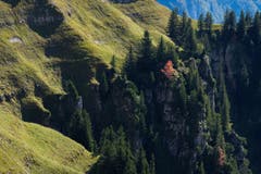 Der Herbst hält Einzug in die Bergwälder oder ganz einfach: Es herbschtelet am Hinterrugg. (Bild: Franz Häusler)