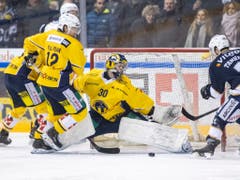 Philip Wüthrich wird nach zwei Lehrjahren in Langenthal nächste Saison zum SC Bern zurückkehren (Bild: KEYSTONE/ADRIEN PERRITAZ)