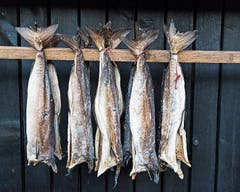 Beliebt: windgetrockneter Fisch. Bild: Getty Images