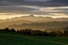 Im Streiflicht der aufgehenden Sonne bei Kirchberg. (Bild: Roland Hof)