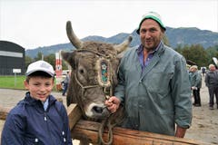 Züchter Sepp Michel aus dem Melchtal und sein Helfer, der Bub Leo Krummenacher aus Sarnen: Beid sind stolz auf den schönen zahmen Stier Domino. (Bild: Romano Cuonz, Sarnen, 4. Oktober 2019)
