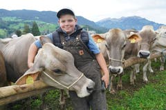Auch Kühe sind im digitalen Zeitalter angekommen. Diese möchte unbedingt ans Handy ihres Chefs ... (Bild: Romano Cuonz, Sarnen, 4. Oktober 2019)