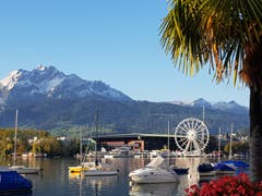 Palmen, Määs und Schnee in Luzern. (Bild: Claudia Aulepp, Casino Luzern, 3. Oktober 2019)