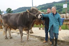 Der Prachtsmuni J.Norman und seine Besitzer Hermann Wallimann (Stieg Alpnach) und Andreas Barnett (hinten) strahlen um die Wette. (Bild: Romano Cuonz, Sarnen, 4. Oktober 2019)