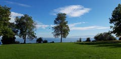 Uferlandschaft von Romanshorn im Licht eines kühlen Herbsttags. (Bild: Klaus Businger)