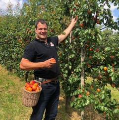 Manuel Strupler (SVP) erntet auf den Breitenhof in Weinfelden Aprikosen – mit: #rotibäggli. Bild: Instagram / Manuel Strupler