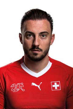 Mittelfeld/Sturm: Josip Drmic (Norwich City)