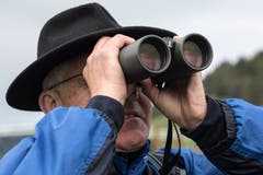 Nicht immer lassen sich Zugvögel mittels Fernglas bestimmen... (Bild: Dominik Wunderli, Kriens, 5. Oktober 2019)