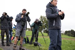 Kormorane ziehen die Hobbyornithologen in den Bann. (Bild: Dominik Wunderli, Kriens, 5. Oktober 2019)