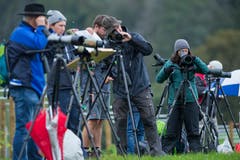Die Ornithologiebegeisterten erblicken eine Gruppe Ringeltauben auf dem Acker vor Ihnen. (Bild: Dominik Wunderli, Kriens, 5. Oktober 2019)