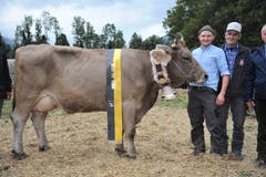OB-Champion «Belinda» aus dem Stall von Gusti Zurfluh, Isenthal. (Bild: Urs Hanhart, Schattdorf, 5. Oktober 2019)