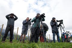 Ausgerüstet mit Fernglas, Fernrohr und gutem Gehör beobachten Hobbyornithologen am Samstagmorgen Zugvögel, die auf dem Weg in den Süden sind. (Bild: Dominik Wunderli, Kriens, 5. Oktober 2019)