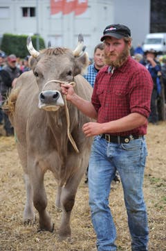 Impressionen von der Grossviehschau in Schattdorf. (Bild: Urs Hanhart, Schattdorf, 5. Oktober 2019)