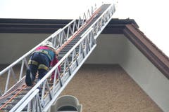 Eine besondere Mutprobe war für die Kinder, die gut gesichert waren, das Besteigen der über 20 Meter hohen Anhängeleiter bis auf das Schulhausdach.