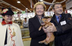 70. Olma: Bundespräsidentin Eveline Widmer Schlumpf posiert mit kreischendem Säuli. (Bild: Keystone/Walter Bieri, 11. Oktober 2012)