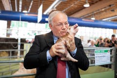 76. Olma: Bundesrat Johann Schneider-Ammann posiert mit Säuli. (Bild: Keystone/Gian Ehrenzeller, 11. Oktober 2018)