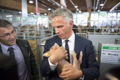 72. Olma: Bundespräsident Didier Burkhalter zeigt sich mit Säuli. (Bild: Keystone/Gian Ehrenzeller, 9. Oktober 2014)