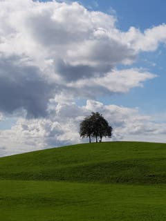 Trio in der Nachmittagssonne bei Bischofszell. (Bild: Reto Schlegel)