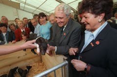 57. Olma: Bundesrat Flavio Cotti nimmt das obligate Säuli entgegen. (Bild: Keystone, 9. Oktober 1997)