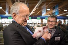 73. Olma: Bundesrat Schneider-Ammann posiert mit Säuli. (Bild: Benjamin Manser, 8. Oktober 2015)