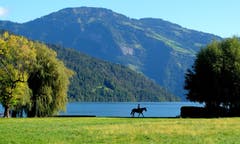 Dankbares Sujet: Ein Reiter taucht unvermittelt am "Grünen Quai" in Buochs auf. (Bild: Sepp Bernasconi, Buochs, 7. Oktober 2019)