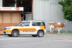 Bis zur Eröffnung morgen Donnerstag laufen die Aufbauarbeiten für den Herbstjahrmarkt auf dem Spelteriniplatz auf Hochtouren. (Bild: Hanspeter Spiess)