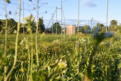 Nur noch Mini-Tore stehen auf dem ehemaligen Spielfeld, auf dem nun Unkraut wächst.