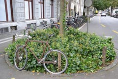 dieses braune Modell versucht es mit dem Motto «gut getarnt». (Bild: Janick Wetterwald, 8. Oktober 2019)