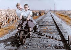 «Ich denke oft an Piroschka», 1955. (Bild: Keystone)