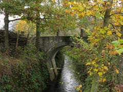 Eine Brücke über dem Ronkanal (Bild: Irene Wanner, Egolzwil, 1. November 2019)