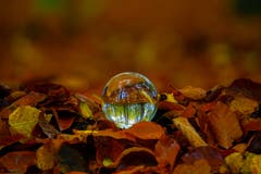 Herbstlicher Buchenwald mit der Kugel fotografiert. (Bild: André Egli, Ettiswil, 10. November 2019)