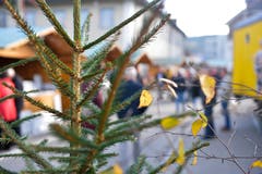 Islikon TG , 10.11.2019 / Greuterhof - Markt