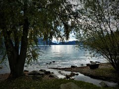 D`Seel echli lo baumelä lo; Und "chillen" in Meggen am See. (Bild: Margrith Imhof-Röthlin, Ruheplatz Seeacher Meggen, 10.11.2019)