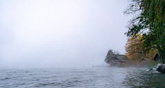 Der Spätherbst zaubert düster-neblig-farbige Bilder. (Bild: Stefan Kunz, Sempach, 10. November 2019)