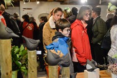 Islikon TG , 10.11.2019 / Greuterhof - Markt
