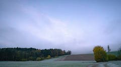 Als wär das Bild nicht fotografiert sondern gemalt. (Bild: Stefan Kunz, Schlacht bei Sempach, 10.11.2019)