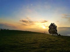 Ist das nicht traumhaft schön zum heutigen Martinstag? Mystische Morgenstimmung mit Nebelschwaden beim Sonnenaufgang. (Bild: Urs Gutfleisch, Sonnenberg, 11. November 2019)