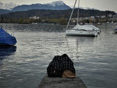 Freundinnen erzählen einander ihre Geheimnisse, und wer sich dabei tarnt bleibt auch unerkannt! (Bild: Margrith imhof-Röthlin, Luzern, 8. November 2019)