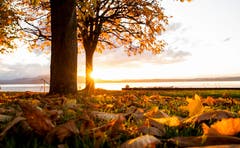 Ein wunderschönes Herbstbild vom Zugersee. (Bild: Daniel Hegglin, Zug, 12. November 2019)