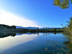 Die Schleierwolken spiegeln sich im Steinibühlweiher. (Bild: Urs Gutfleisch, Sempach, 12. November 2019)