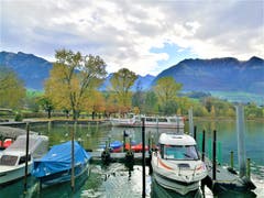 Wunderbare Morgenstimmung beim Seefeld am Sarnersee. (Bild: Urs Gutfleisch, Sarnen, 2. November 2019)