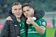 (Bilder: Ralph Ribi)