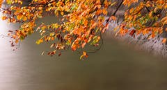 Die Herbststimmung widerspiegelt sich im Vierwaldstättersee. (Bild: Stefan Kunz, Meggerhorn, 2. November 2019)
